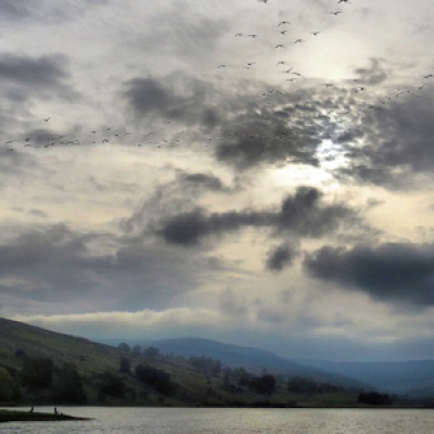 semerwater_geese_crop