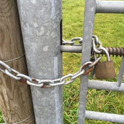 joy_locked_gate