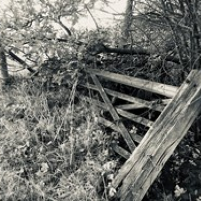 joy_mono_gate